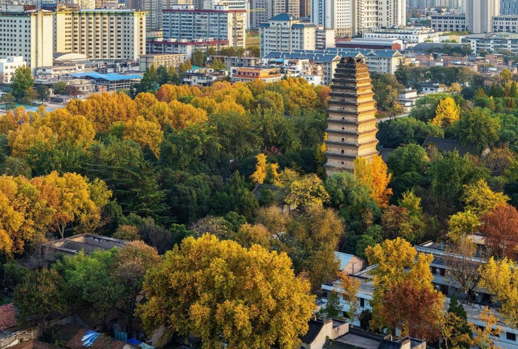 Scenery of Small Wild Goose Pagoda in Autumn
